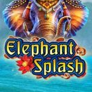 Elephant Splash 