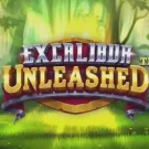 Excalibur Unleashed 