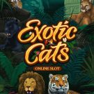 Exotic Cats 