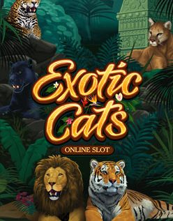 Exotic Cats 