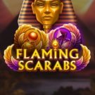 Flaming Scarabs 