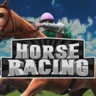 Flat Horse Racing 