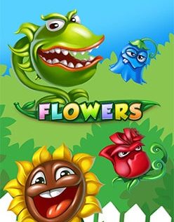 Flowers 
