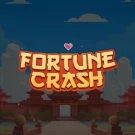 Fortune Crash  