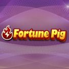 Fortune Pig 