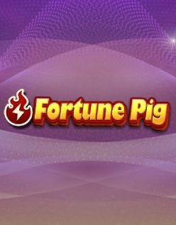 Fortune Pig 