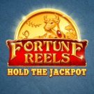 Fortune Reels Free Play in Demo Mode 