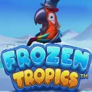 Frozen Tropics 
