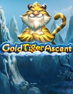 Gold Tiger Ascent 