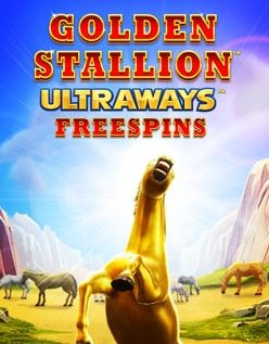 Golden Stallion 