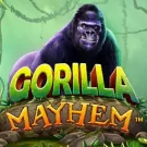 Gorilla Mayhem 
