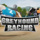 Greyhound Racing 
