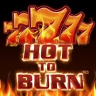 Hot to Burn 