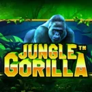 Jungle Gorilla 