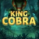 King Cobra 