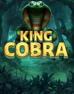 King Cobra 