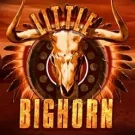Little Bighorn 
