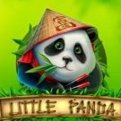Little Panda 