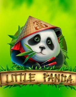 Little Panda 