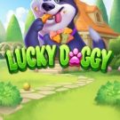 Lucky Doggy 