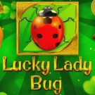 Lucky Lady Bug 