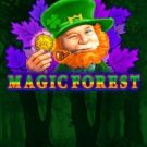 Magic Forest 