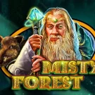 Misty Forest Demo Slot 