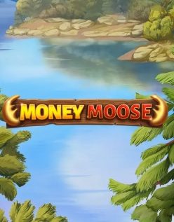 Money Moose 