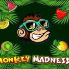 Monkey Madness 