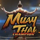 Muay Thai Champion 