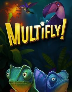 Multifly 