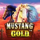 Mustang Gold 
