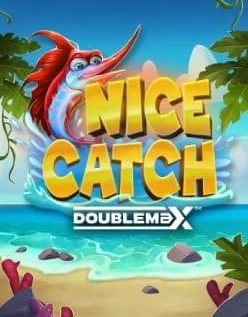 Nice Catch DoubleMax 