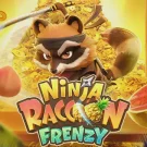 Ninja Raccoon Frenzy 