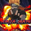 Ninja Ways 