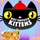 Not Enough Kittens 