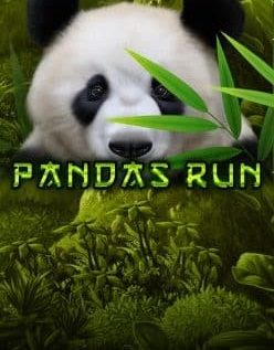 Pandas Run 