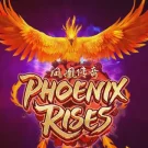Phoenix Rises 