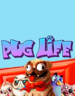 Pug Life 