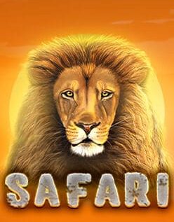 Safari 