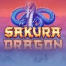 Sakura Dragon 