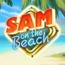 Sam on the Beach 