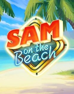 Sam on the Beach 