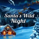 Santas Wild Night 