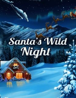 Santas Wild Night 