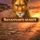 Savannah’s Queen 