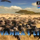 Savannas Life Demo Slot 