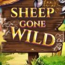 Sheep Gone Wild 