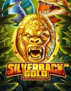Silverback Gold 