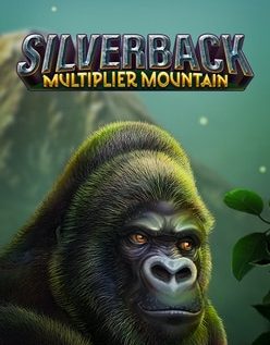 Silverback Multiplier Mountain 